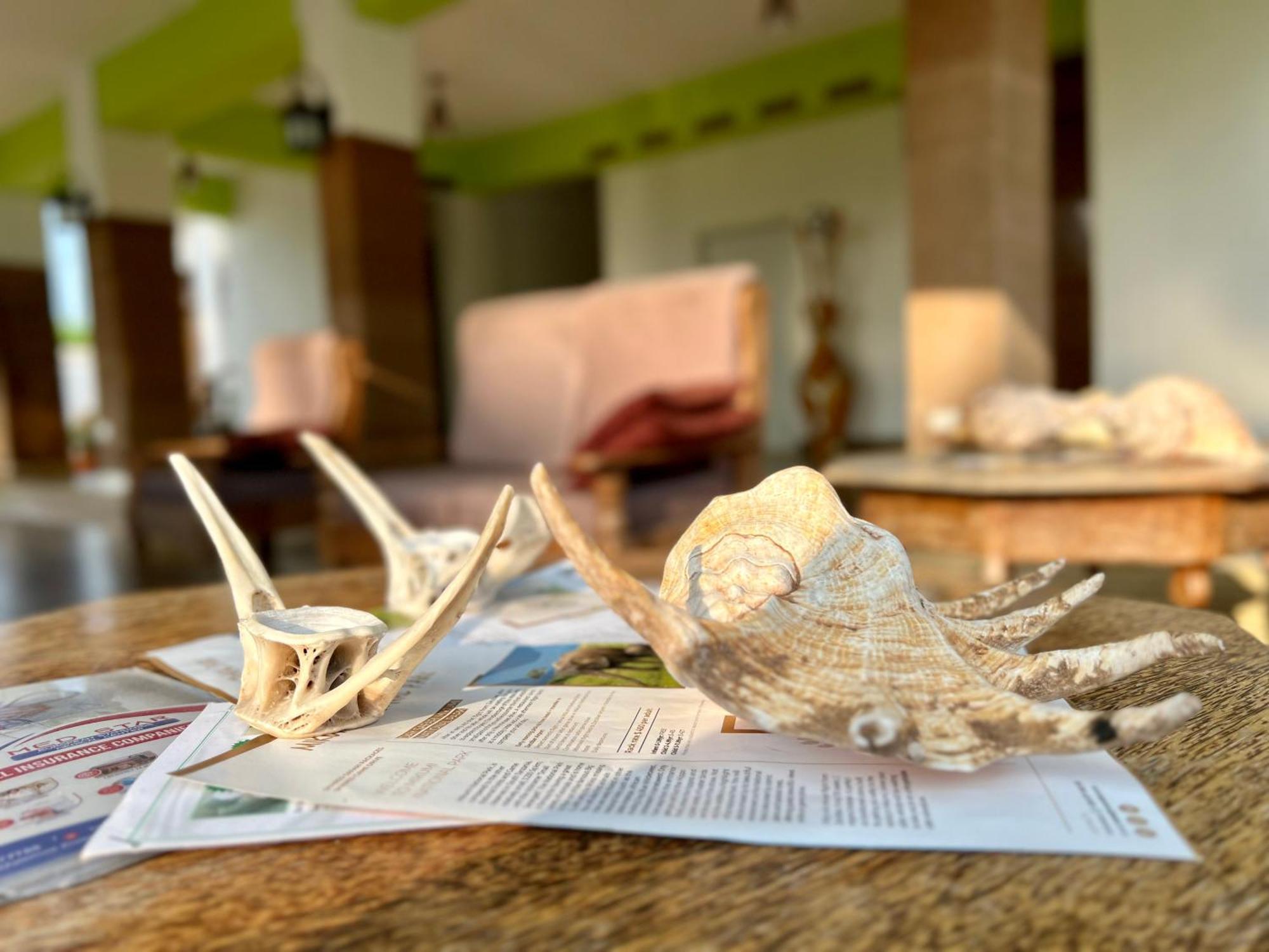 Zanoceanique Hotel Matemwe  Luaran gambar